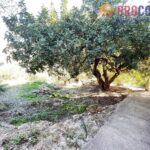 inmoprocosta casa rustica ch